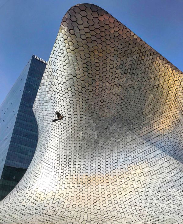 foto:Ronald Zuñiga Angeles - lo hecho en México