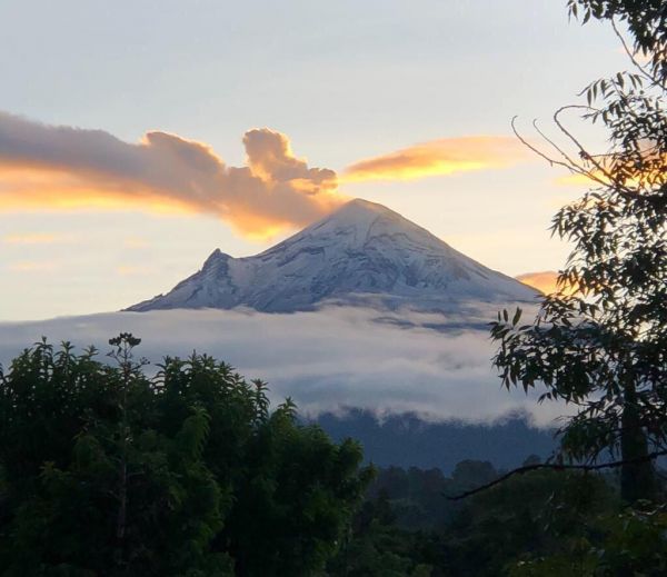 foto:Guadalupe  Espinosa de los Monteros  Solís - lo hecho en México