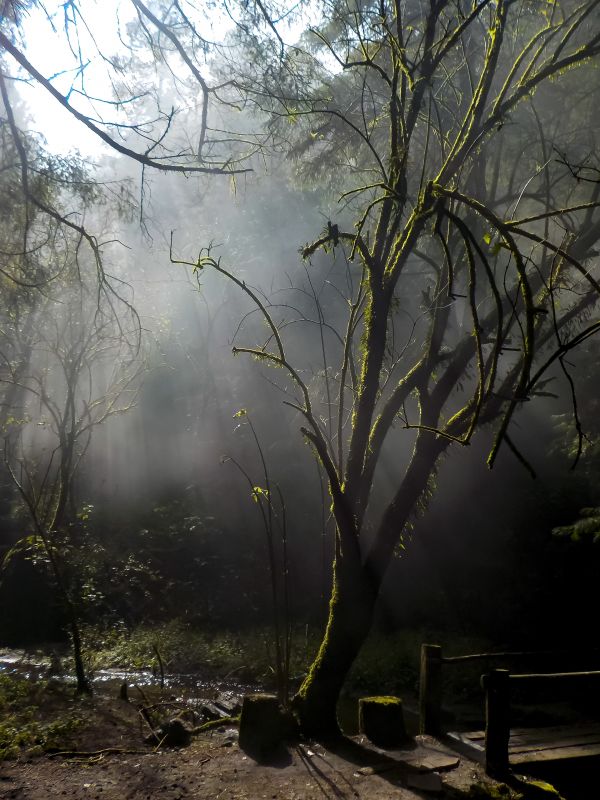 foto:Diego Jimenez Bustamante - lo hecho en México
