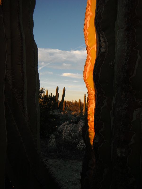 foto:Monica  Avila Camacho Viveros - lo hecho en México