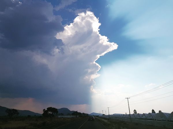 foto:Lilian Avila Novelo - lo hecho en México