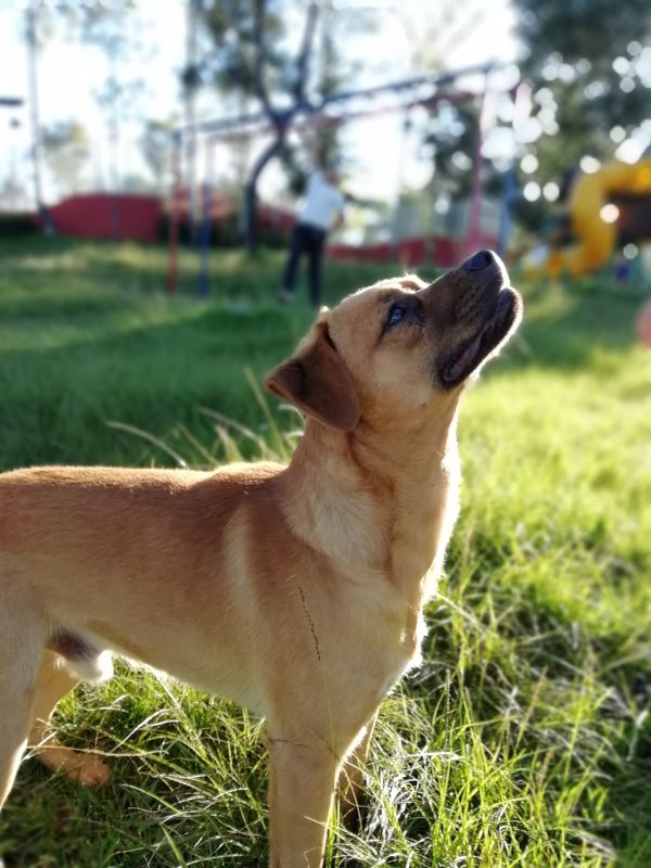 foto:Sebastián de Jesús  Sánchez González - lo hecho en México