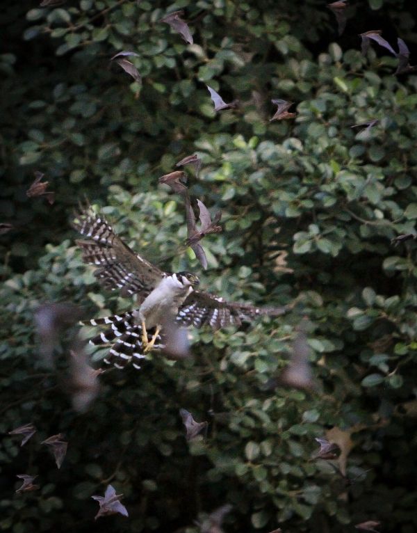 foto:Ricardo  Careaga  Córdova  - lo hecho en México