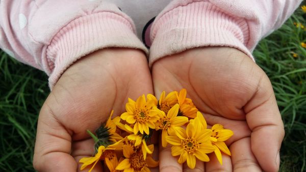 foto:Alison fernanda  Cuevas Esquivel  - lo hecho en México