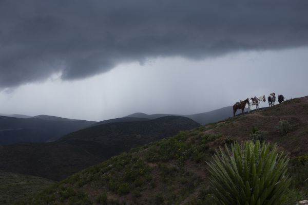 foto:Carlos Gerardo Garza Torres - lo hecho en México
