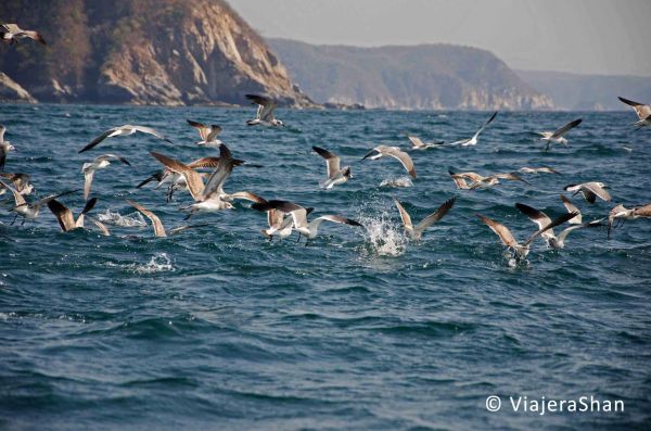 foto:Shantal Romero Mata - lo hecho en México