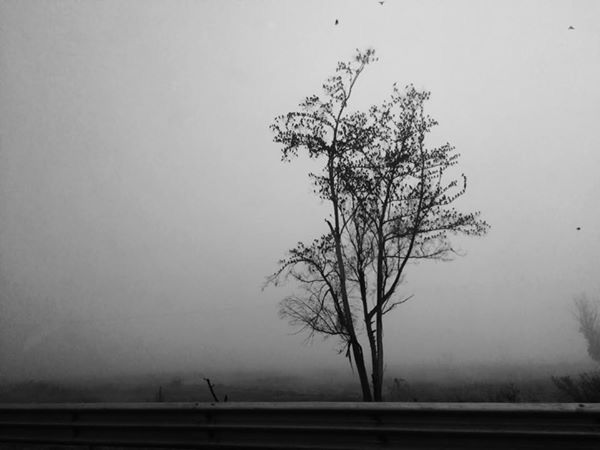 foto:Miriam Corro Reyes - lo hecho en México