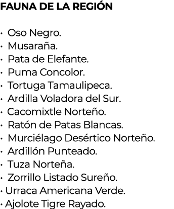 FAUNA DE LA REGIÓN   Oso Negro                                Musaraña                              Pata de Elefante    