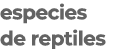especies de reptiles