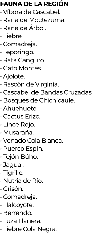 FAUNA DE LA REGIÓN   Víbora de Cascabel                        Rana de Moctezuma                       Rana de Árbol    