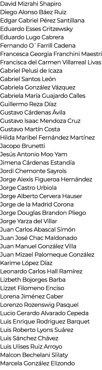 David Mizrahi Shapiro Diego Alonso Báez Ruiz Edgar Gabriel Pérez Santillana Eduardo Esses Gritzewsky Eduardo Lugo Cab   