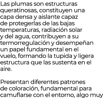 Las plumas son estructuras queratinosas, constituyen una capa densa y aislante capaz de protegerlas de las bajas temp...
