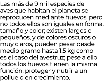 Las m s de 9 mil especies de aves que habitan el planeta se reprocucen mediante huevos, pero no todos ellos son igual...