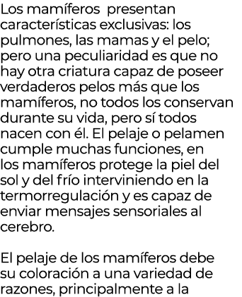 Los mam feros presentan caracter sticas exclusivas: los pulmones, las mamas y el pelo; pero una peculiaridad es que n...