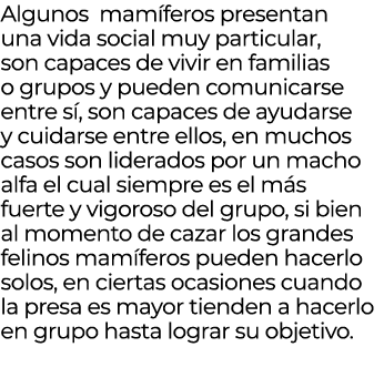 Algunos mam feros presentan una vida social muy particular, son capaces de vivir en familias o grupos y pueden comuni...