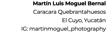 Mart n Luis Moguel Bernal Caracara Quebrantahuesos El Cuyo, Yucat n IG: martinmoguel_photography