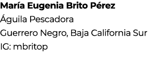 Mar a Eugenia Brito P rez guila Pescadora Guerrero Negro, Baja California Sur IG: mbritop 