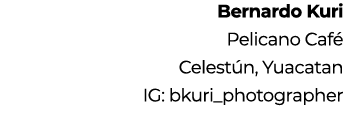 Bernardo Kuri Pelicano Caf Celest n, Yuacatan IG: bkuri_photographer