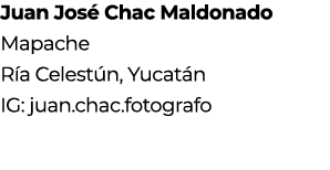 Juan Jos Chac Maldonado Mapache R a Celest n, Yucat n IG: juan.chac.fotografo 