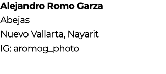 Alejandro Romo Garza Abejas Nuevo Vallarta, Nayarit IG: aromog_photo
