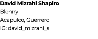 David Mizrahi Shapiro Blenny Acapulco, Guerrero IG: david_mizrahi_s