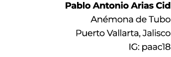 Pablo Antonio Arias Cid An mona de Tubo Puerto Vallarta, Jalisco IG: paac18