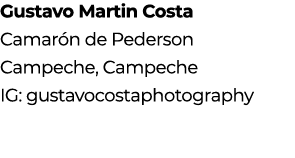 Gustavo Martin Costa Camar n de Pederson Campeche, Campeche IG: gustavocostaphotography