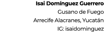Isai Dom nguez Guerrero Gusano de Fuego Arrecife Alacranes, Yucat n IG: isaidominguez