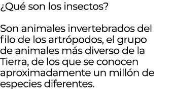 ¿Qu son los insectos? Son animales invertebrados del filo de los artr podos, el grupo de animales m s diverso de la ...