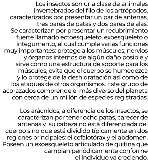 Los insectos son una clase de animales invertebrados del filo de los artr podos, caracterizados por presentar un par ...