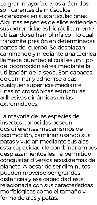 La gran mayor a de los ar cnidos son carentes de m sculos extensores en sus articulaciones. Algunas especies de ellos...