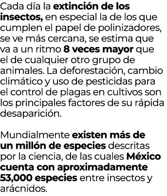 Cada d a la extinci n de los insectos, en especial la de los que cumplen el papel de polinizadores, se ve m s cercana...