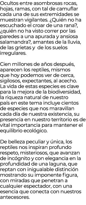 Ocultos entre asombrosas rocas, hojas, ramas, con tal de camuflar cada una de sus extremidades se muestran vigilantes...