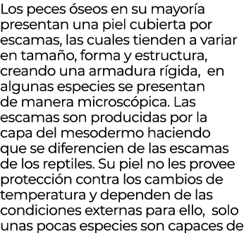 Los peces seos en su mayor a presentan una piel cubierta por escamas, las cuales tienden a variar en tama o, forma y...