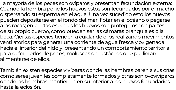 La mayor a de los peces son ov paros y presentan fecundaci n externa: Cuando la hembra pone los huevos estos son fecu...