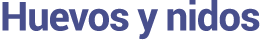 Huevos y nidos