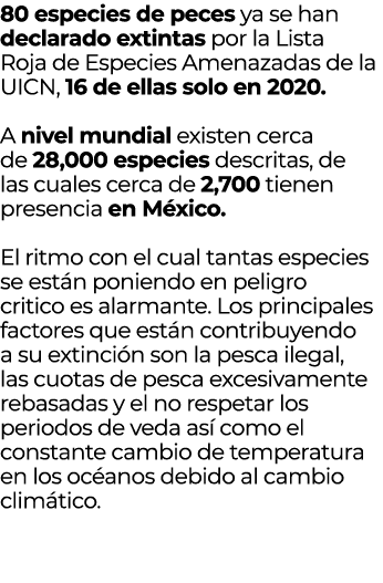 80 especies de peces ya se han declarado extintas por la Lista Roja de Especies Amenazadas de la UICN, 16 de ellas so...