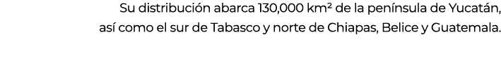 Su distribuci n abarca 130,000 km² de la pen nsula de Yucat n, as  como el sur de Tabasco y norte de Chiapas, Belice...