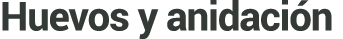 Huevos y anidaci n