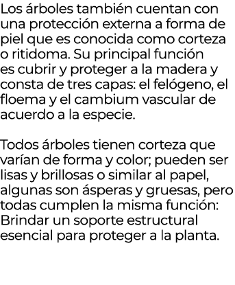 Los rboles tambi n cuentan con una protecci n externa a forma de piel que es conocida como corteza o ritidoma. Su pr...