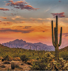 Sunset in the Sonoran Desert near Phoenix, Arizona