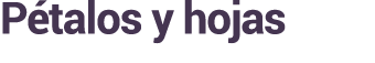 P talos y hojas 