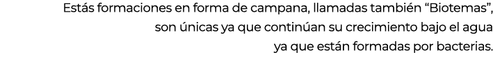 Est s formaciones en forma de campana, llamadas tambi n “Biotemas”, son nicas ya que contin an su crecimiento bajo e...