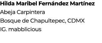 Hilda Maribel Fern ndez Mart nez Abeja Carpintera Bosque de Chapultepec, CDMX IG. mabblicious 