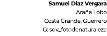 Samuel Diaz Vergara Ara a Lobo Costa Grande, Guerrero IG: sdv_fotodenaturaleza