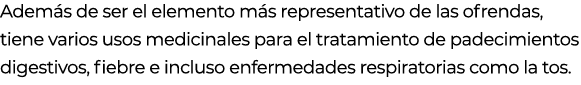 Adem s de ser el elemento m s representativo de las ofrendas, tiene varios usos medicinales para el tratamiento de pa...