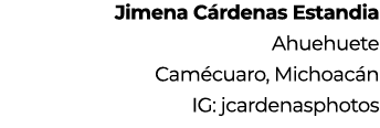 Jimena C rdenas Estandia Ahuehuete Cam cuaro, Michoac n IG: jcardenasphotos