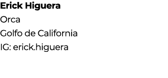 Erick Higuera Orca Golfo de California IG: erick.higuera 