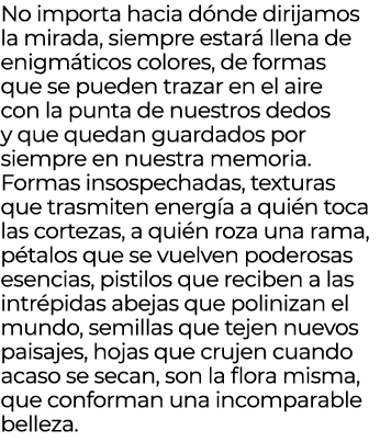 No importa hacia d nde dirijamos la mirada, siempre estar llena de enigm ticos colores, de formas que se pueden traz...
