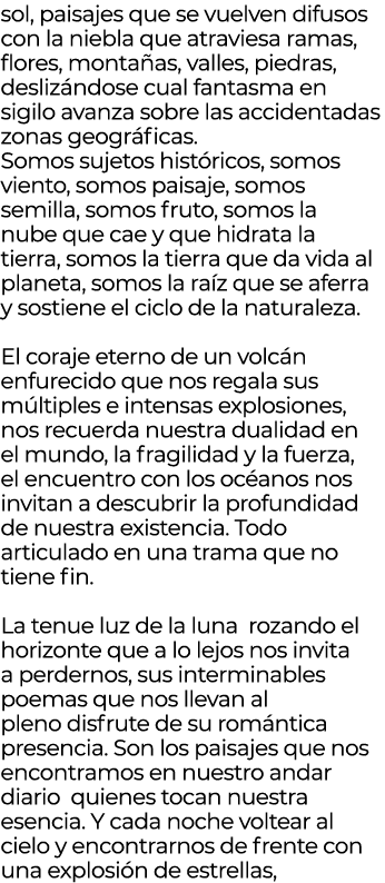 sol, paisajes que se vuelven difusos con la niebla que atraviesa ramas, flores, monta as, valles, piedras, desliz ndo...